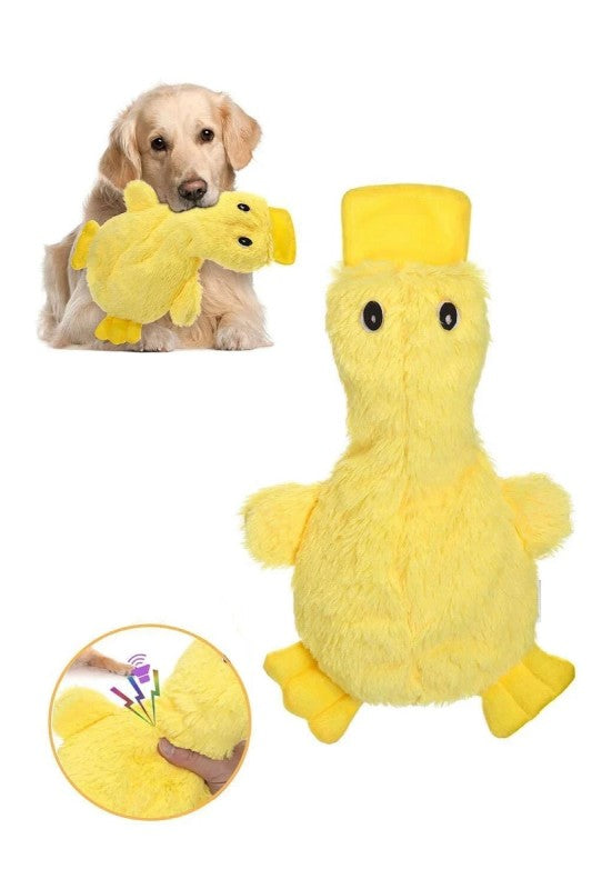 Squeaker Pet Toy