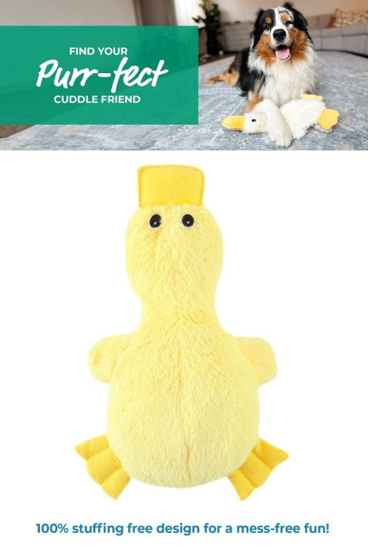 Squeaker Pet Toy